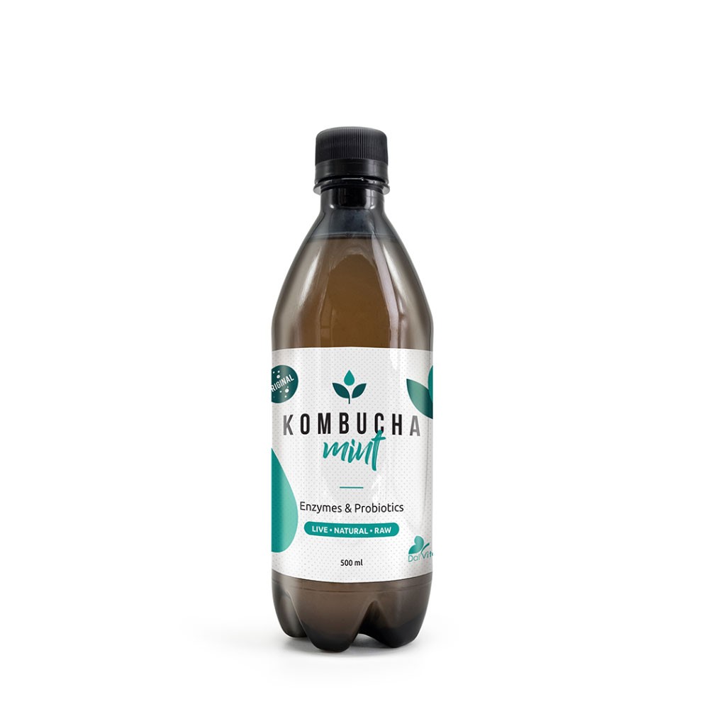 Kombucha Mint 500ml Dalvita